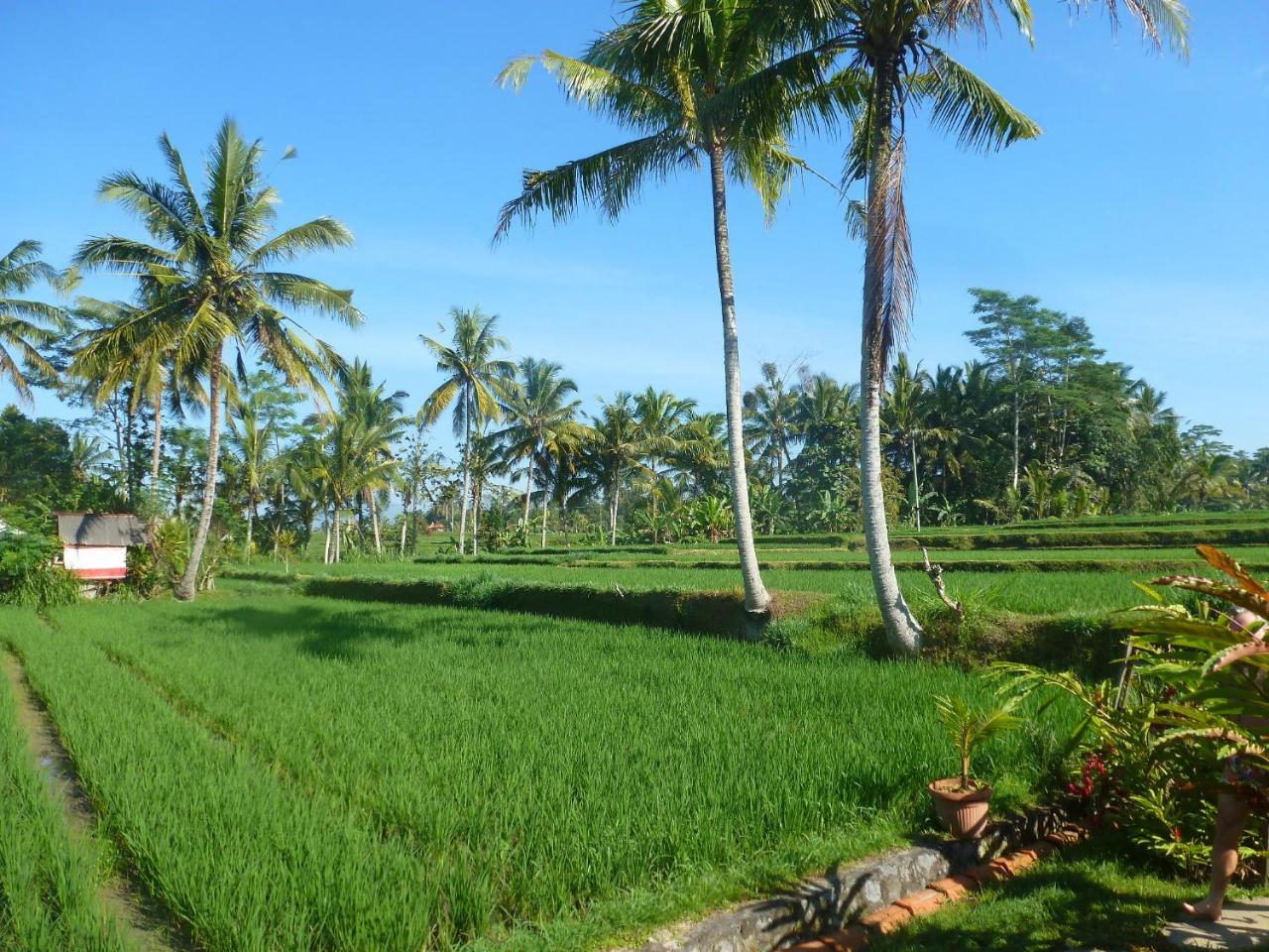 Bali Sawah Indah Hotel Убуд Екстериор снимка