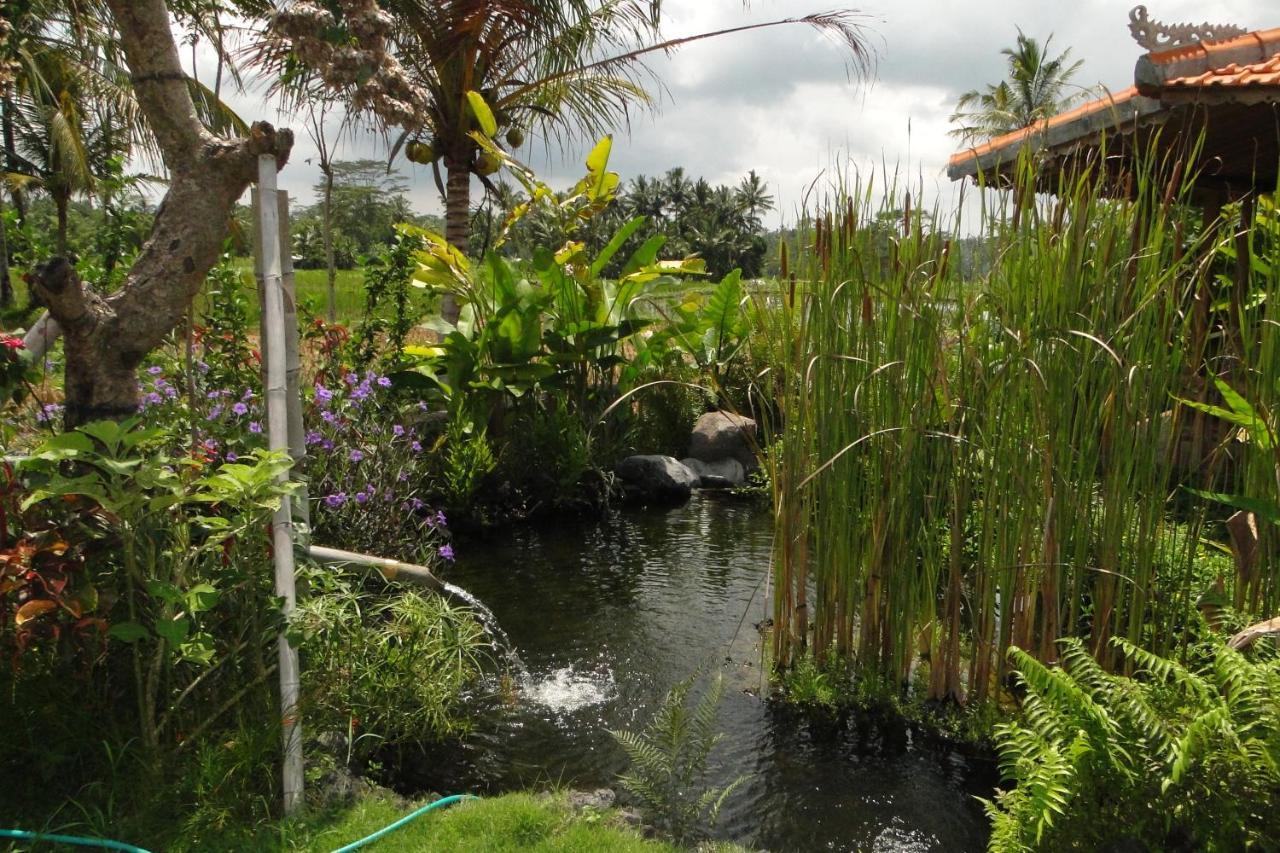 Bali Sawah Indah Hotel Убуд Екстериор снимка