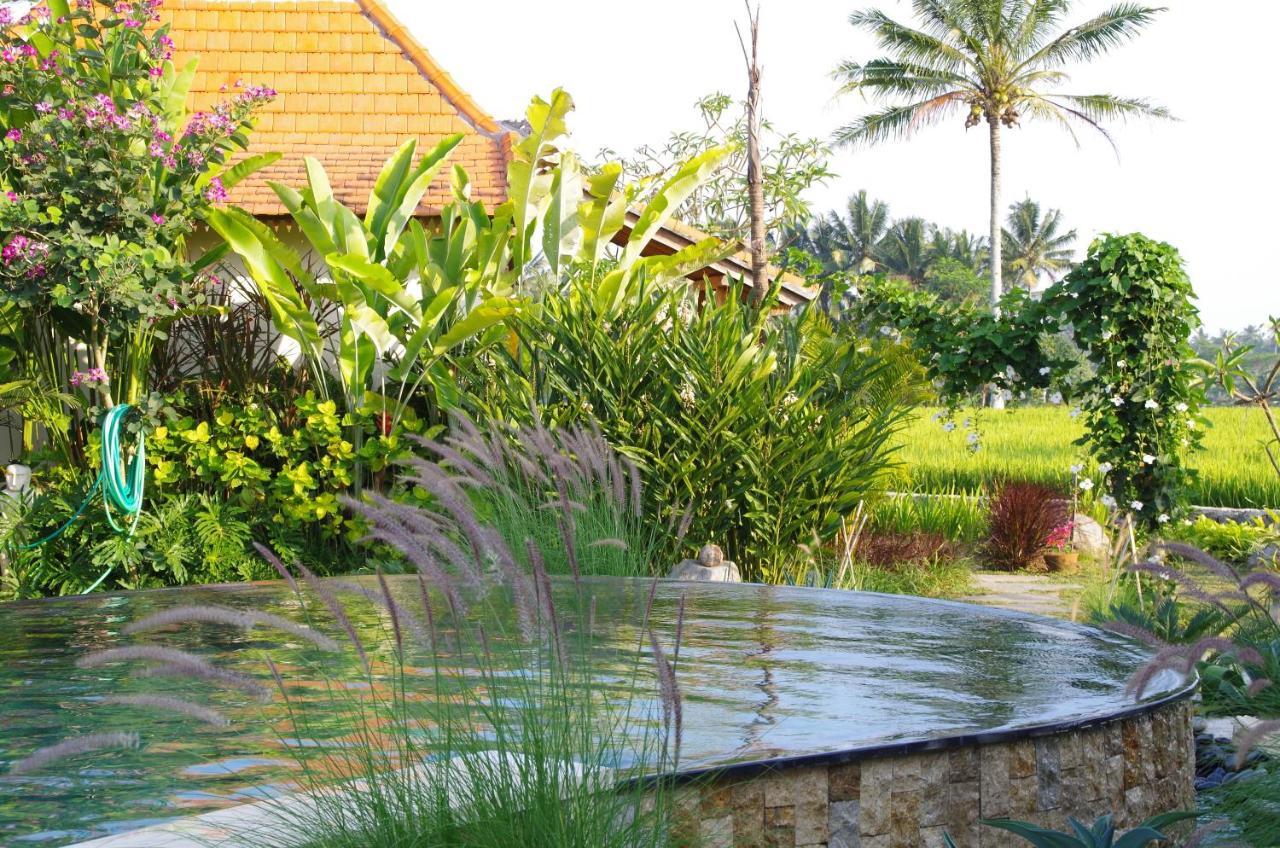 Bali Sawah Indah Hotel Убуд Екстериор снимка