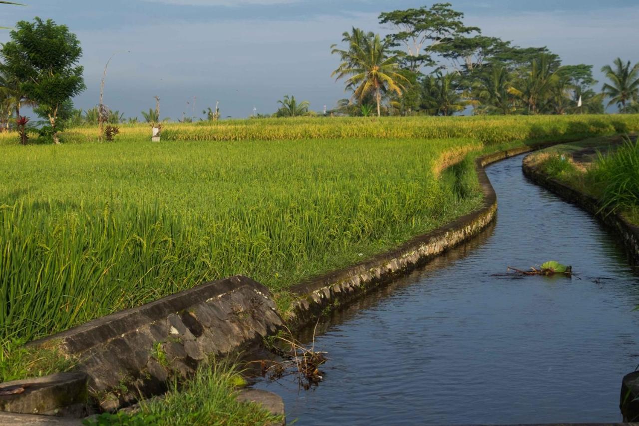 Bali Sawah Indah Hotel Убуд Екстериор снимка